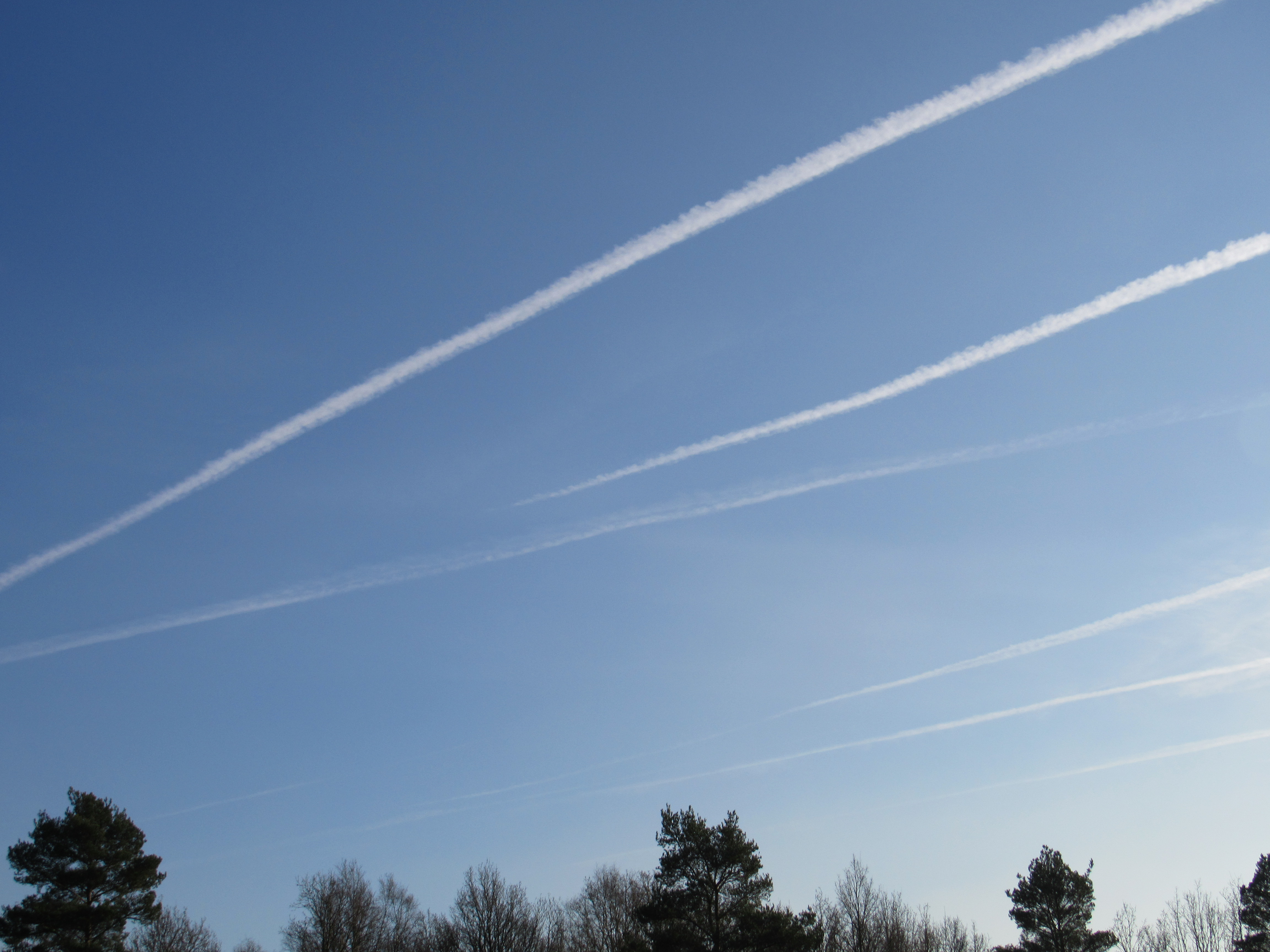 Are chemtrails a conspiracy theory or intentional geoengineering activity ? What are contrails ?